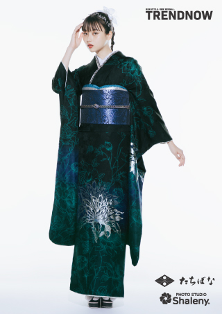 トレンドナウ　TN-266